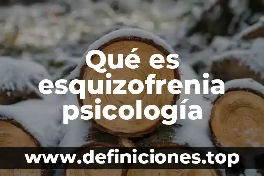 Qué es esquizofrenia psicología