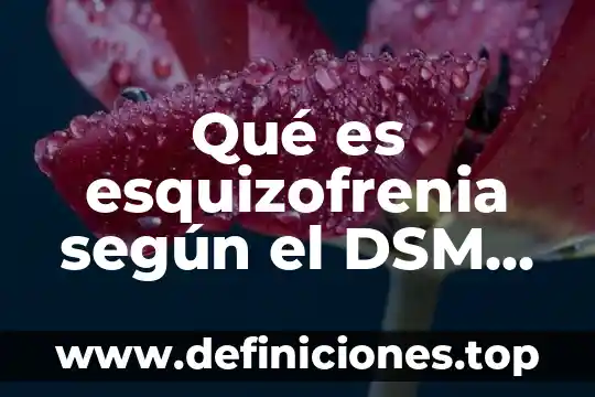 Qué es esquizofrenia según el DSM V