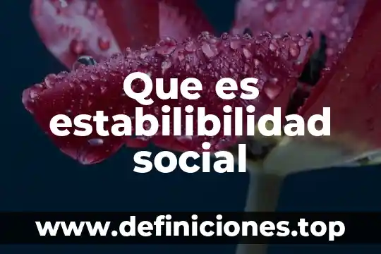 Que es un repositorio de informacion 8 Que es estabilibilidad social