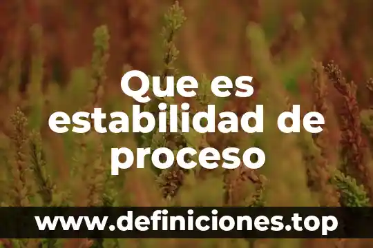 Que es estabilidad de proceso