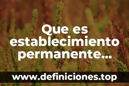Que es el codigo mainides 5 Que es establecimiento permanente codigo fiscal de la federacion