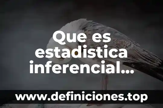Que es estadistica inferencial contraste de hipotesis