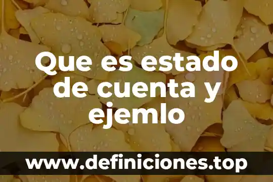 Que es estado de cuenta y ejemlo
