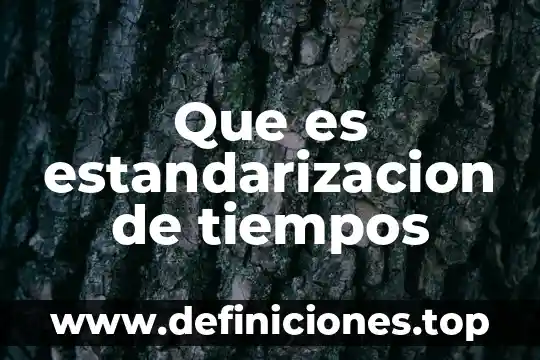 Que es un canal de comunicacion estandarizacion en las empresas 4 Que es estandarizacion de tiempos