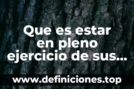 Que es estar en pleno ejercicio de sus derechos