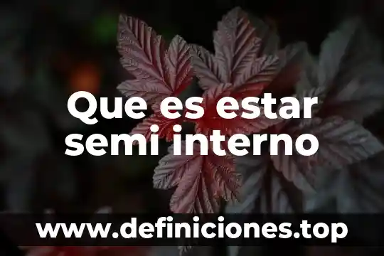 Por que es importante estar hidratado al realizar algun deporte 4 Que es estar semi interno
