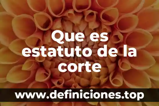 Que es instrumentos de corte y confeccion 8 Que es estatuto de la corte