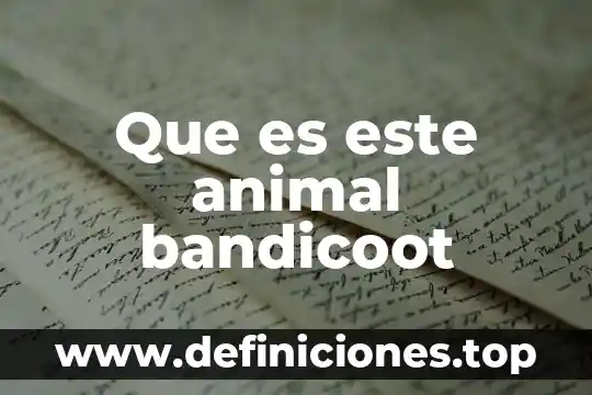 Que es este animal bandicoot