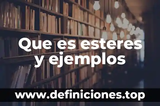B2b que es y ejemplos 3 Que es esteres y ejemplos
