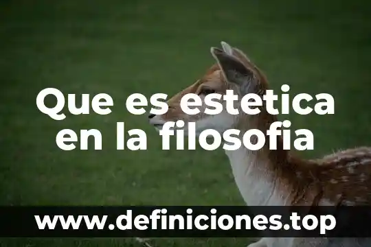 Que es estetica en la filosofia