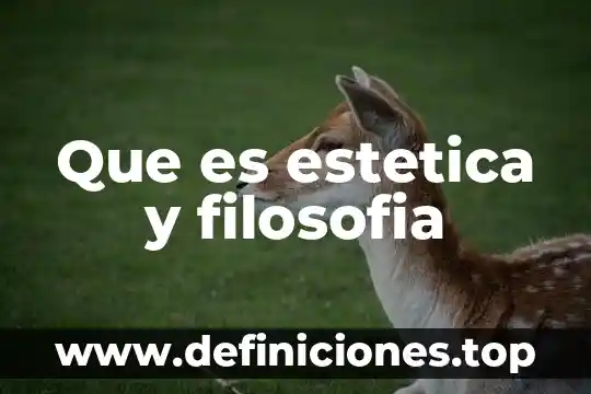 Que es la cultura estetica y su clasificacion 8 Que es estetica y filosofia