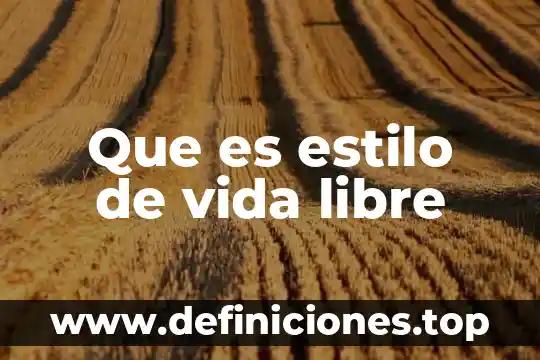 Qué es el estilo de vida minimalista 7 Que es estilo de vida libre
