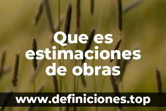 Que es obras de beneficencia 7 Que es estimaciones de obras