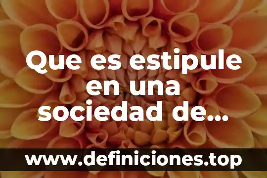 Que es la sociedad del conocimiento resumen 5 Que es estipule en una sociedad de socis