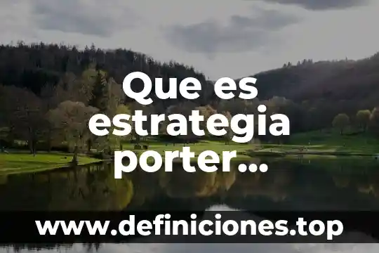 Que es estrategia porter resumen 2011