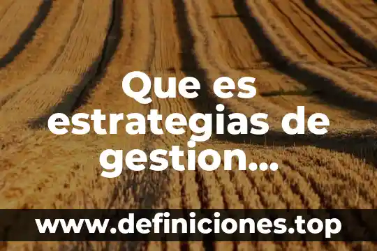 Que es estrategias de gestion directiva