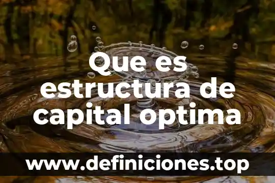Que es un resumen y su estructura 5 Que es estructura de capital optima
