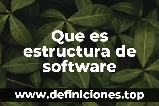 Que es estructura de software