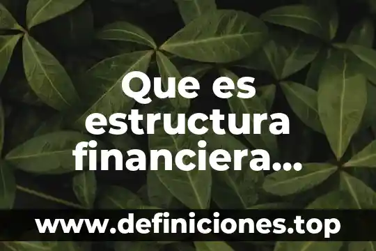 Que es eficencia financiera en contabilidad 7 Que es estructura financiera definicion
