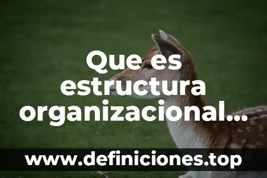 Que es el diseño organizacional tradicional 3 Que es estructura organizacional y sus caracteristicas