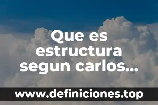 Que es estructura segun carlos martz