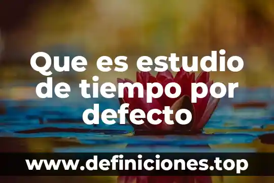 Que es el defecto interno de la bomba de gasolina 4 Que es estudio de tiempo por defecto