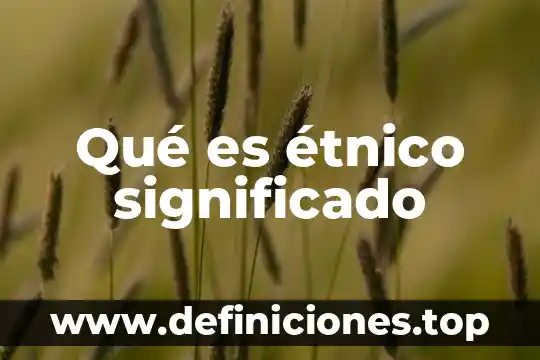 Qué es étnico significado