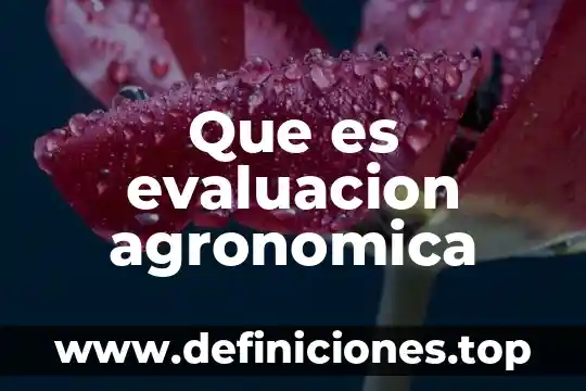 Que es una prueba en historia 8 Que es evaluacion agronomica