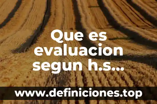 Que es evaluacion segun h.s bhola