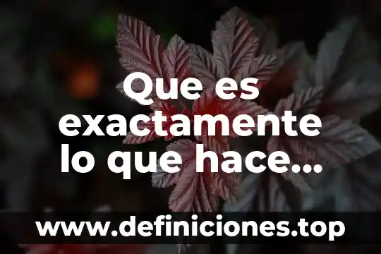 Exactamente que es una palabra 5 Que es exactamente lo que hace que los hogares