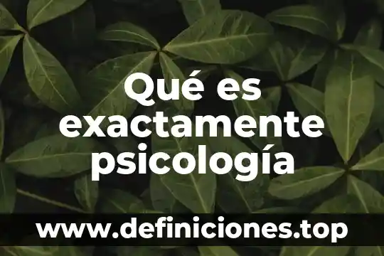 Que es exactamente lo que hace que los hogares 4 Qué es exactamente psicología