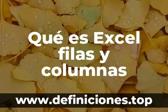 Funciones de hora en Excel que es 7 Qué es Excel filas y columnas