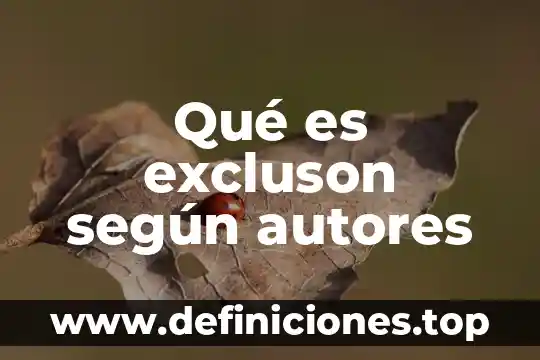 Que es la espiritualidad segun autores 5 Qué es excluson según autores