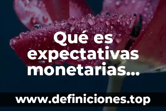 Qué es expectativas monetarias ejemplos