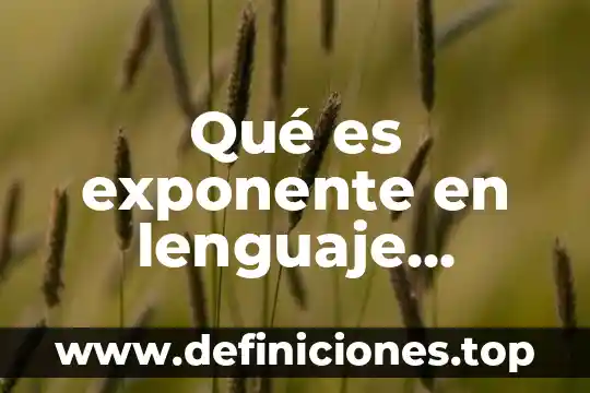 Que es el lenguaje no verbal facial proximico 8 Qué es exponente en lenguaje matemático