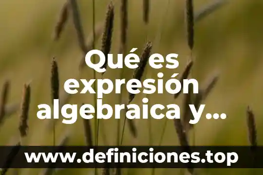 Qué es expresión algebraica y cuáles son sus elementos