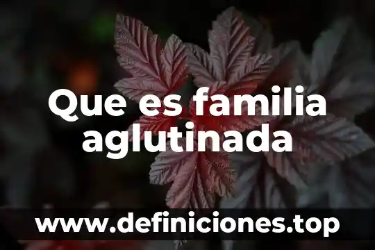 Que es familia aglutinada