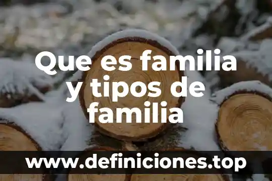 Que es un holon y sus tipos 6 Que es familia y tipos de familia