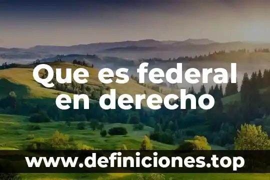 Que es federal en derecho