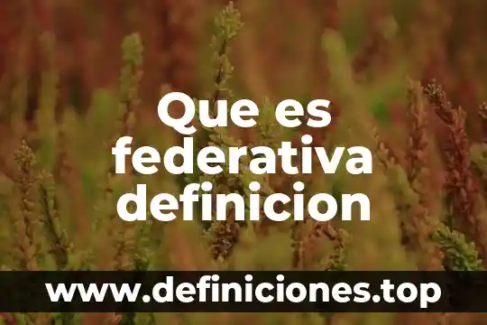 Qué es el marco para la inversión definición 7 Que es federativa definicion