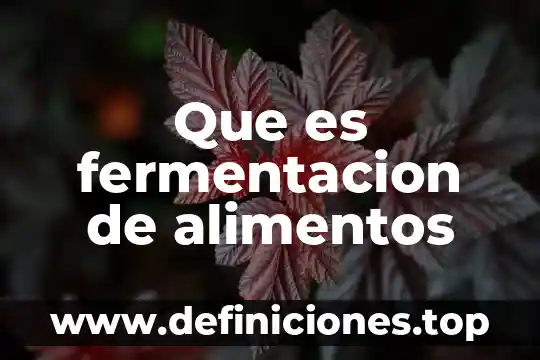 Que es fermentacion de alimentos