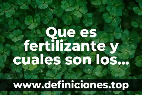 Qué es un transceptor y cuáles son sus tipos 7 Que es fertilizante y cuales son los riesgo y bieneficios