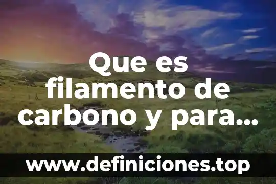 Que es el carbono modelo 6 Que es filamento de carbono y para que nos sirve