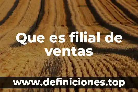 Qué es una área de exhibición en las ventas 5 Que es filial de ventas