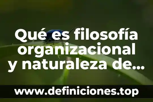 Qué es filosofía organizacional y naturaleza de negocio