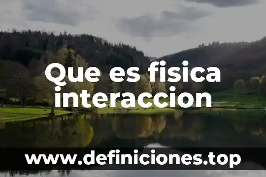 Qué es una paradoja en educación física 4 Que es fisica interaccion
