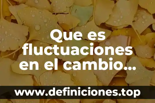 Que es una razo de cambio 8 Que es fluctuaciones en el cambio de divisas