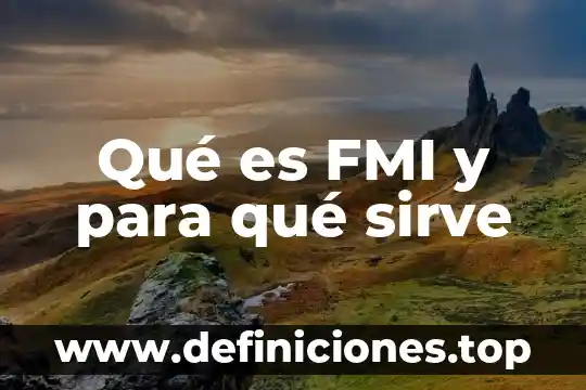 Que es y que funciones tiene el fmi 4 Qué es FMI y para qué sirve