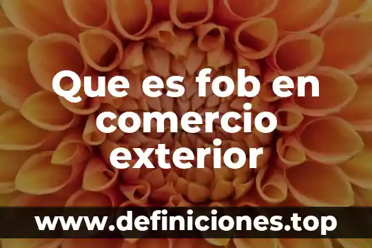 Que es fob en comercio exterior