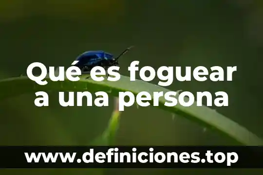 Qué es una persona moral y como se conforma 5 Qué es foguear a una persona